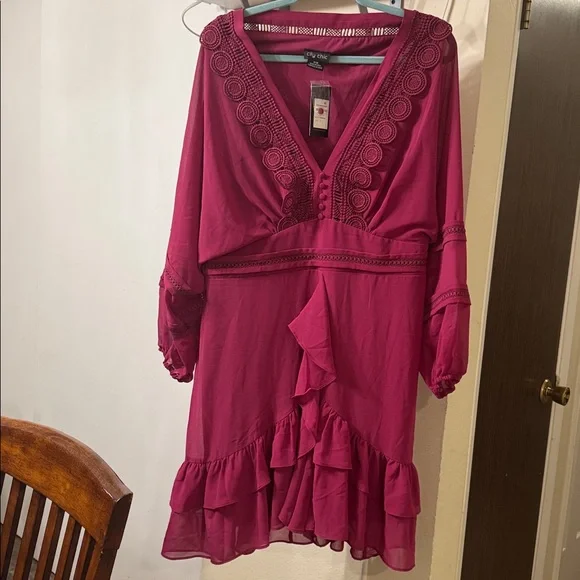 NWT City Chic Sweetheart Embroidered V-Neck Bohemian Dress in Fuchsia size 16 - Picture 3 of 8